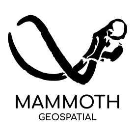 Mammoth Geospatial